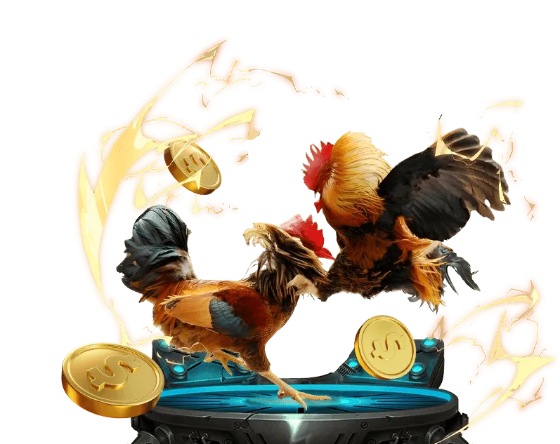 Cá cược quần vợt tại nổ hũ 88